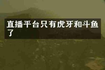 直播平台只有虎牙和斗鱼了