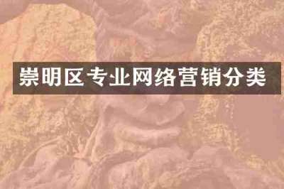 崇明区专业网络营销分类