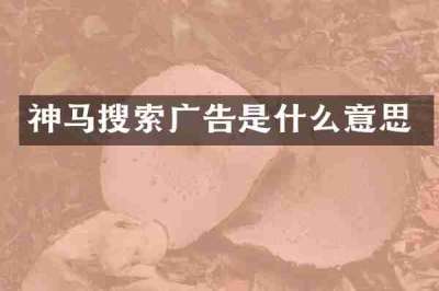 神马搜索广告是什么意思