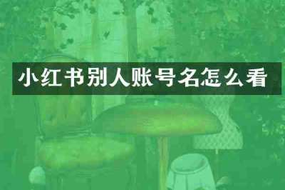小红书别人账号名怎么看
