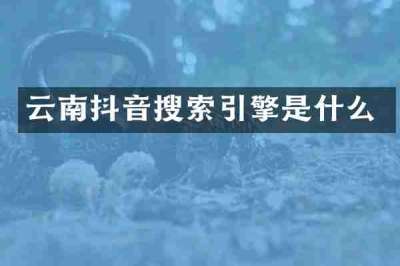 云南抖音搜索引擎是什么