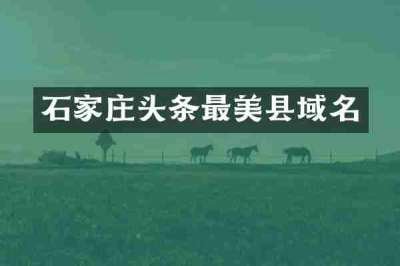石家庄头条最美县域名