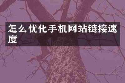 怎么优化手机网站链接速度