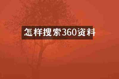 怎样搜索360资料
