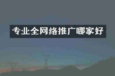专业全网络推广哪家好