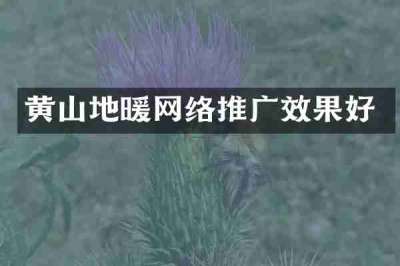 黄山地暖网络推广效果好