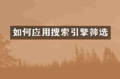 如何应用搜索引擎筛选