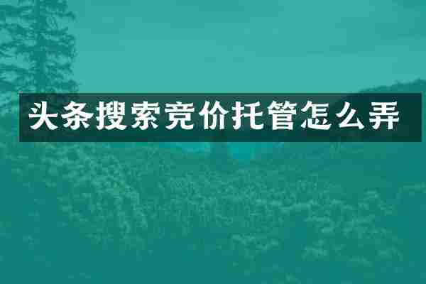 头条搜索竞价托管怎么弄