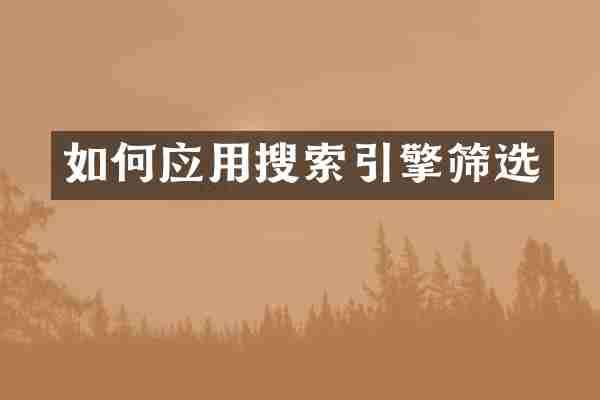 如何应用搜索引擎筛选
