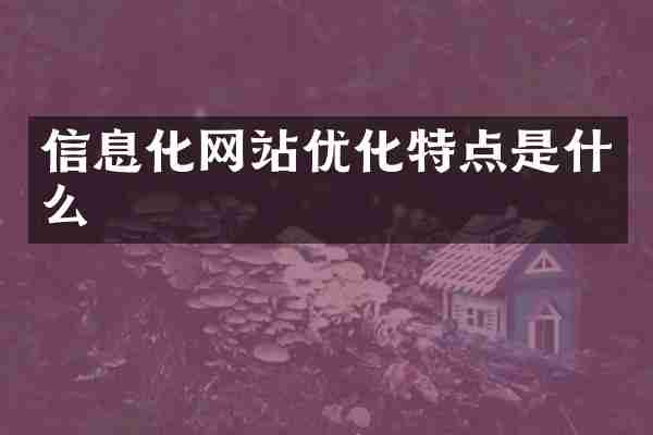 信息化网站优化特点是什么