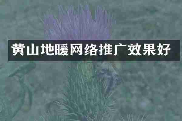黄山地暖网络推广效果好