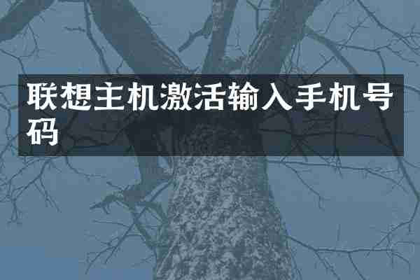 联想主机激活输入手机号码