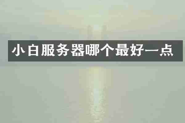 小白服务器哪个最好一点