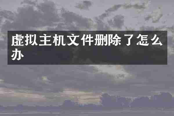 虚拟主机文件删除了怎么办