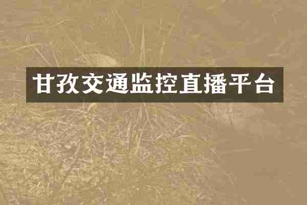 甘孜交通监控直播平台