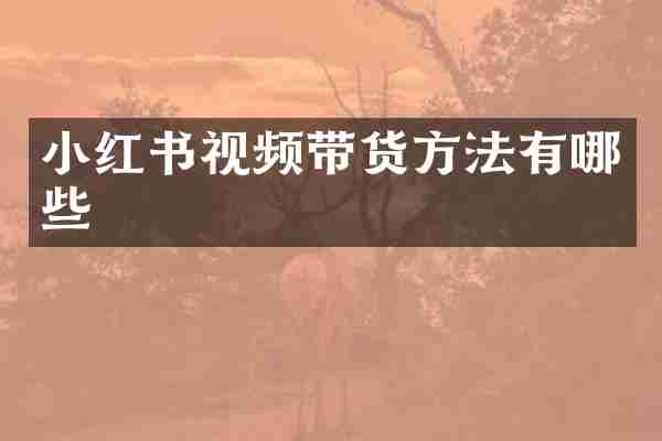 小红书视频带货方法有哪些