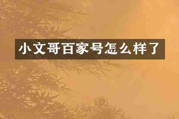 小文哥百家号怎么样了