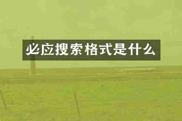 必应搜索格式是什么