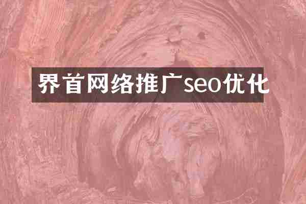 界首网络推广seo优化
