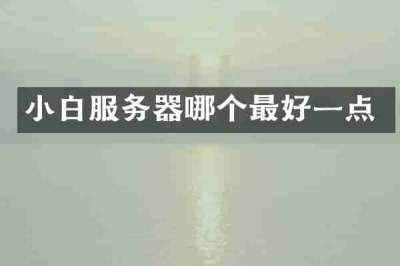 小白服务器哪个最好一点