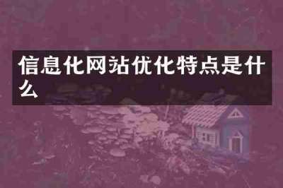 信息化网站优化特点是什么