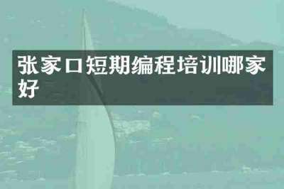 张家口短期编程培训哪家好
