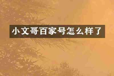 小文哥百家号怎么样了