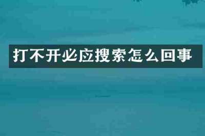 打不开必应搜索怎么回事