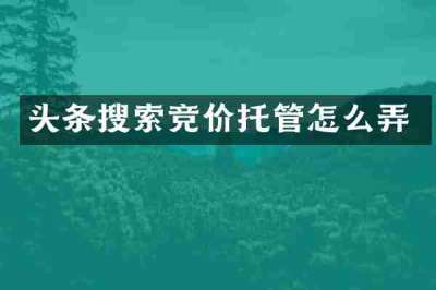 头条搜索竞价托管怎么弄