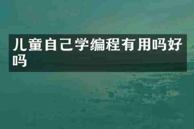 儿童自己学编程有用吗好吗