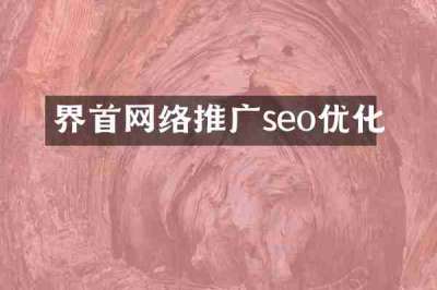 界首网络推广seo优化