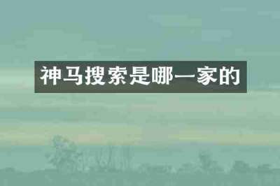 神马搜索是哪一家的