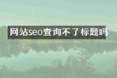 网站seo查询不了标题吗