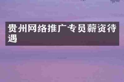贵州网络推广专员薪资待遇