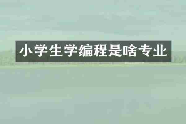小学生学编程是啥专业