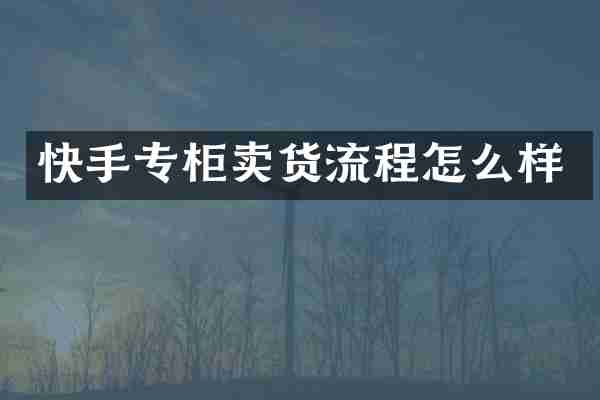 快手专柜卖货流程怎么样