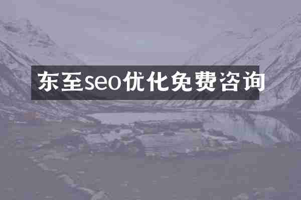 东至seo优化免费咨询