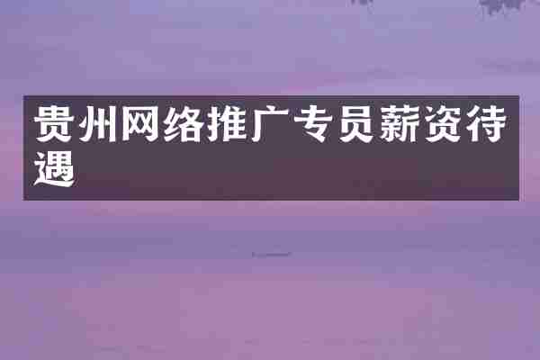 贵州网络推广专员薪资待遇