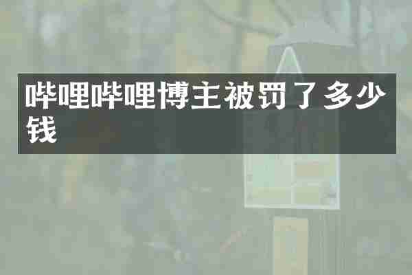 哔哩哔哩博主被罚了多少钱