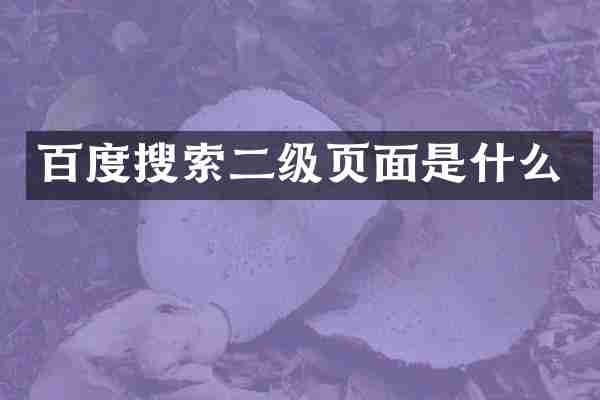 百度搜索二级页面是什么