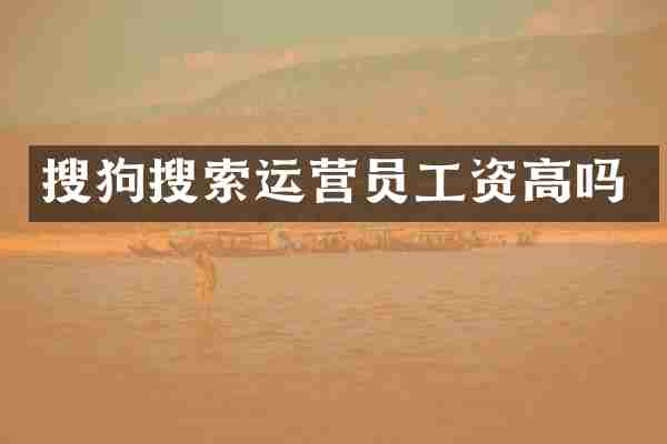 搜狗搜索运营员工资高吗