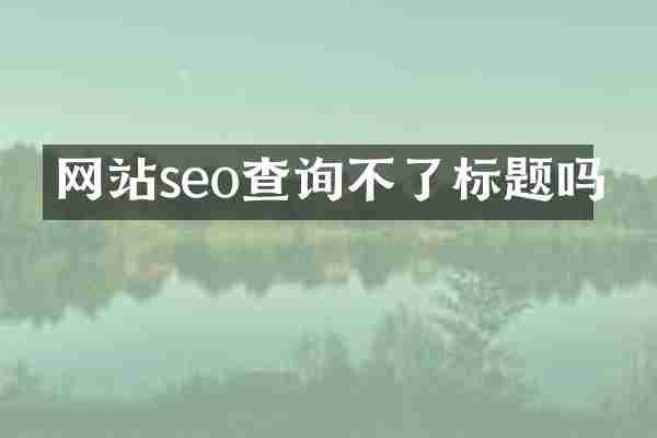 网站seo查询不了标题吗