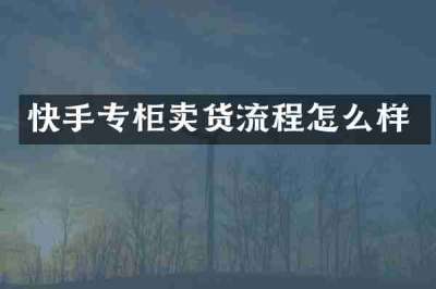 快手专柜卖货流程怎么样