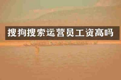 搜狗搜索运营员工资高吗
