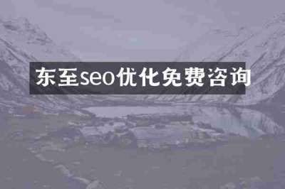 东至seo优化免费咨询