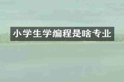 小学生学编程是啥专业