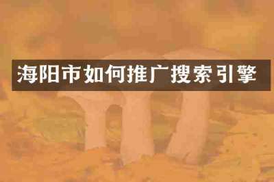 海阳市如何推广搜索引擎