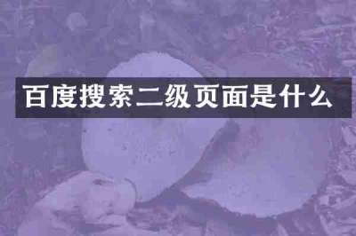 百度搜索二级页面是什么