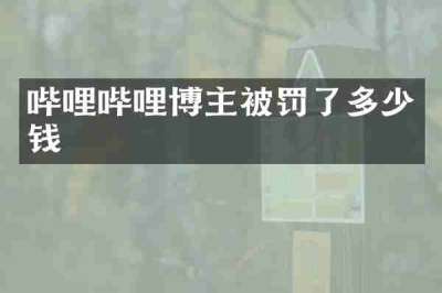 哔哩哔哩博主被罚了多少钱