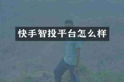 快手智投平台怎么样